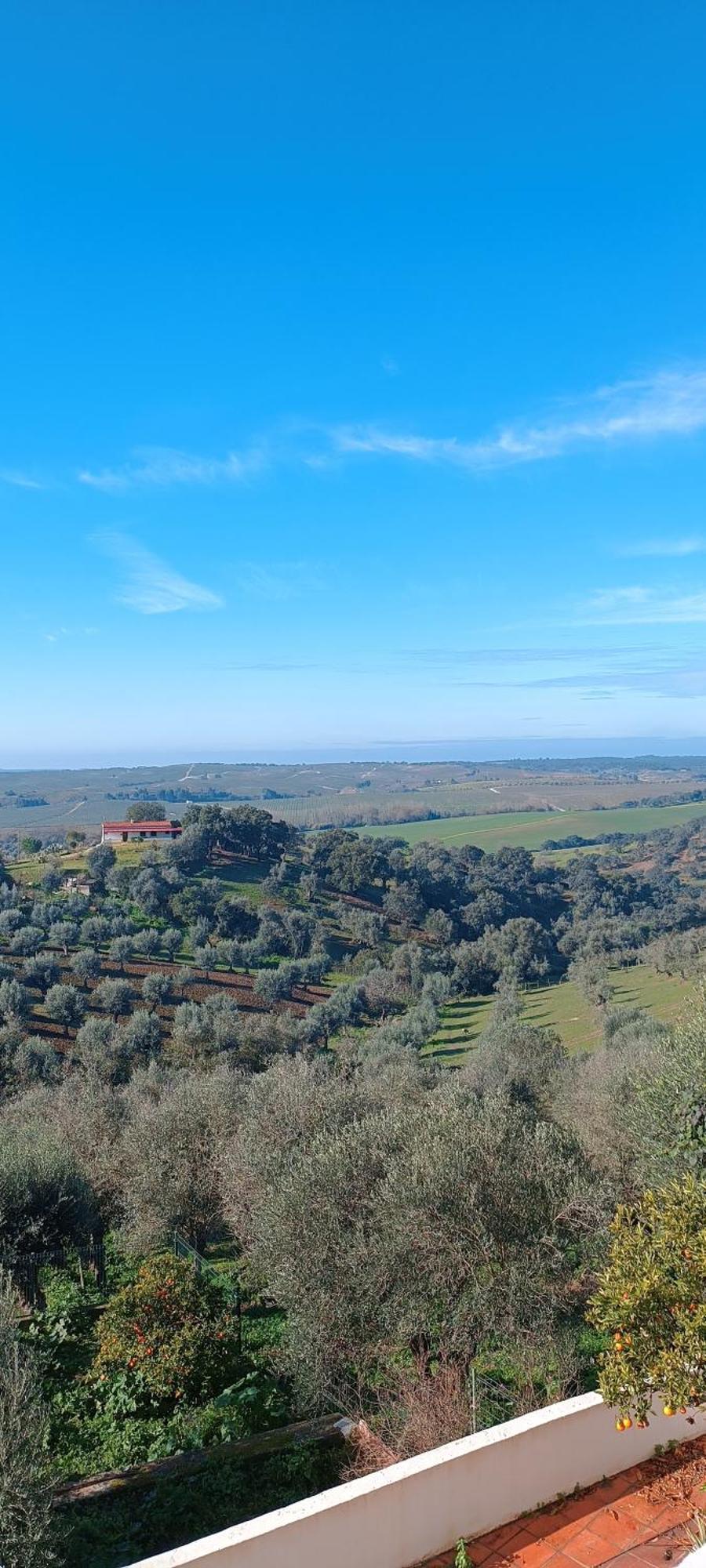 Casa D'Alice Villa Seda Luaran gambar